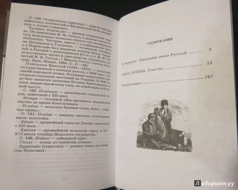 Гоголь бульба читать полностью. Тарас бульба сколько страниц в книге. тарас бульба сколько страниц. гоголь тарас бульба сколько страниц в книге. и в гоголь повесть тарас бульба сколько страниц.