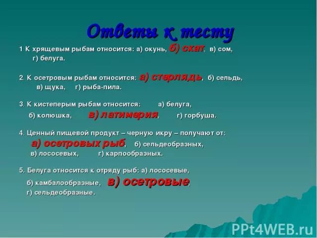 2 к хрящевым рыбам относится. К хрящевым рыбам относятся. К хрящевым рыбам не относятся. Кто не относится к хрящевым рыбам. К хрящевым рыбам относят окуня?.