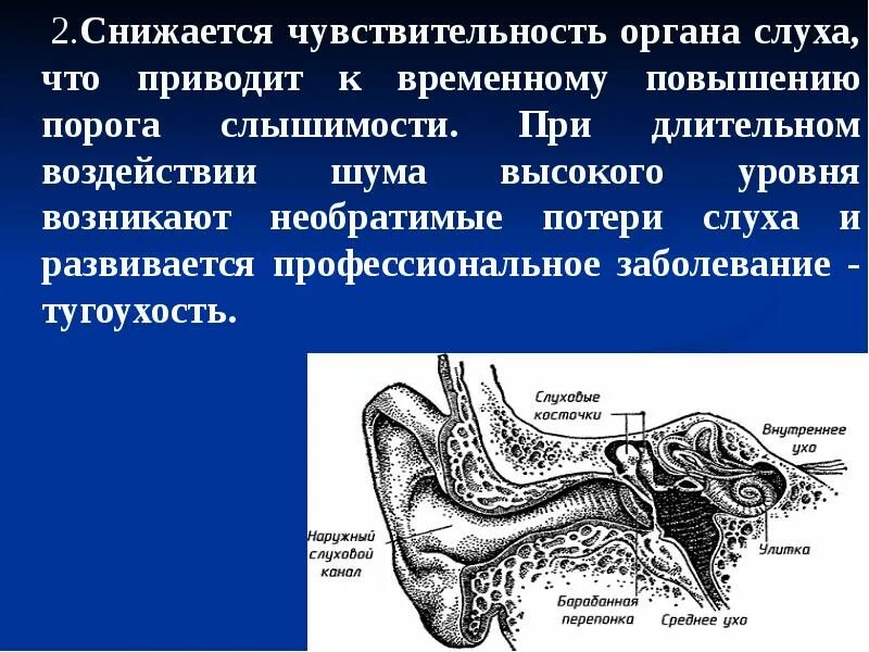 Чувствительность органа слуха. Влияние шума на слуховой анализатор. Воздействие на органы слуха. Профессиональные заболевания органов слуха. Болезни органов слуха