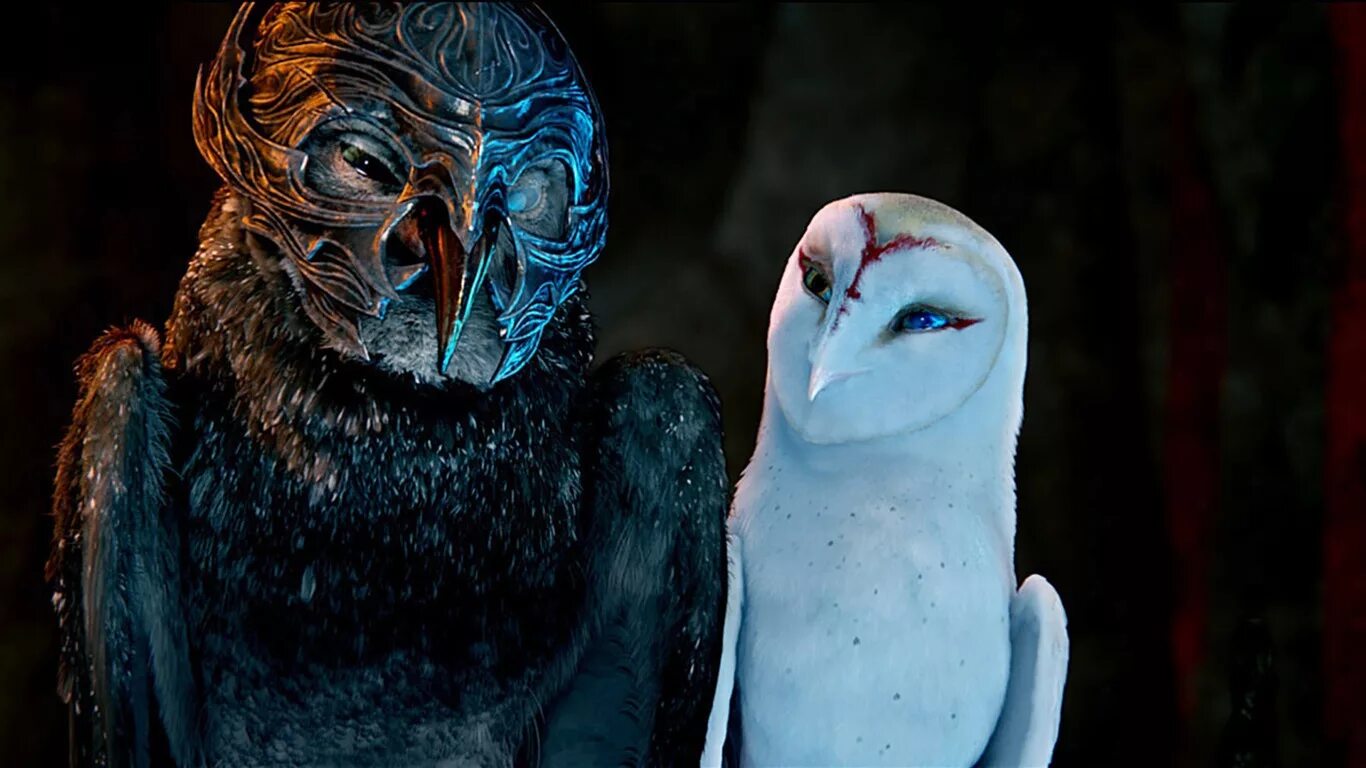 Ga hoole guardians the owls legend. Legend of the Guardians the Owls of ga Hoole. Легенды ночных стражей мультфильм 2010. Найра легенды ночных стражей арт. Сипуха легенды ночных стражей.