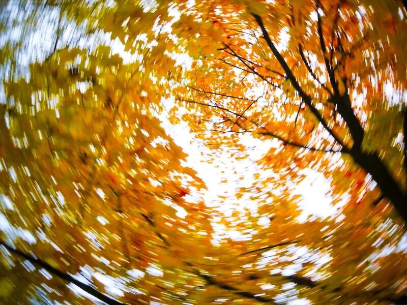 Осень листопад. Листья кружатся. Лист на ветру. Осенние листья кружат. Осень листьями кружит