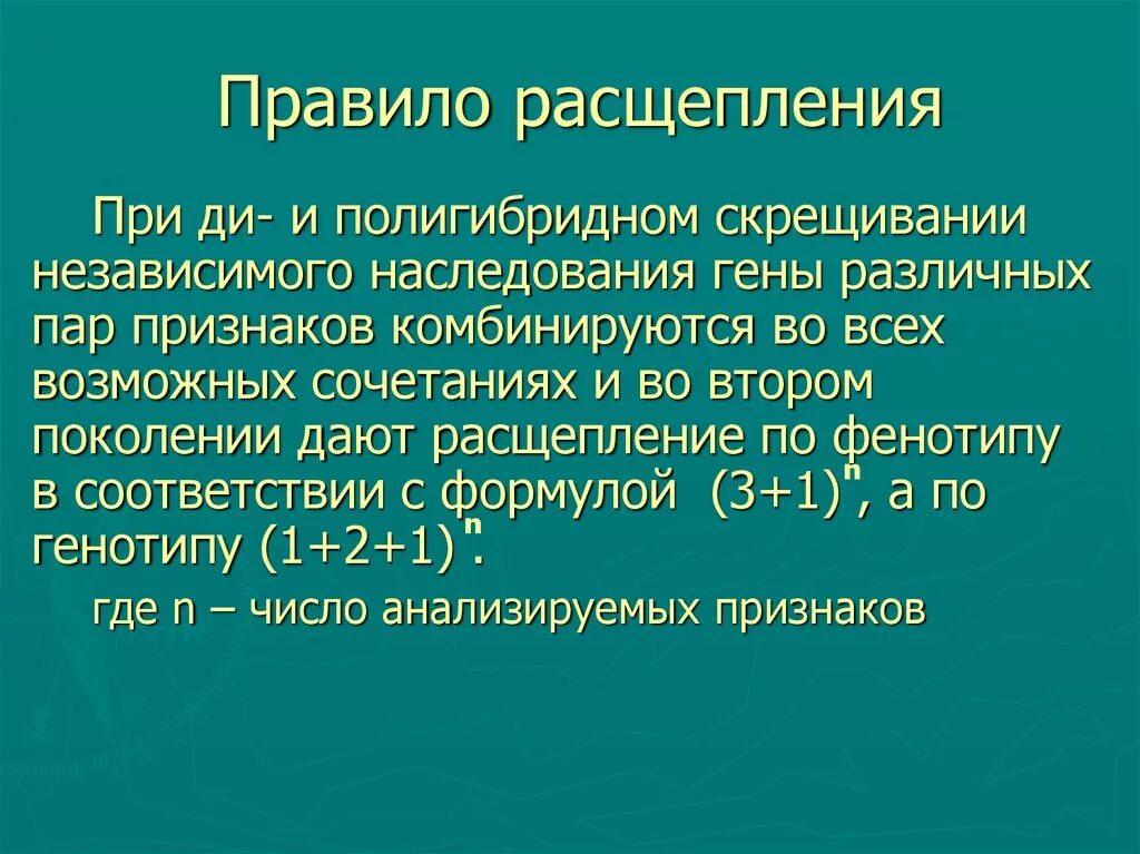 Правило распада. Правило расщепления. Сформулируйте правило расщепления. Правило расщепления гибридов. Закономерности наследования при ди и полигибридном скрещивании.