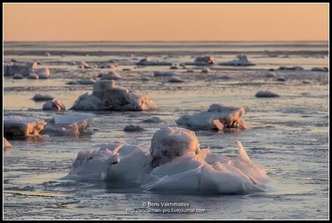 Смех у белого моря