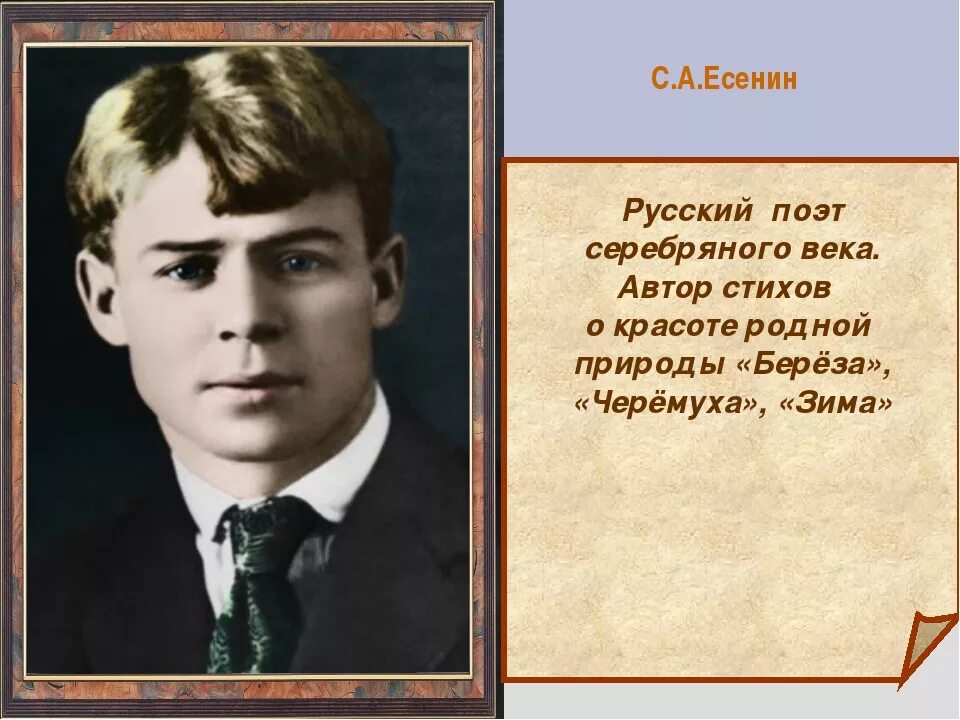 Есенин портрет. Поэты 20 века Есенин. Есенин серебряный век.