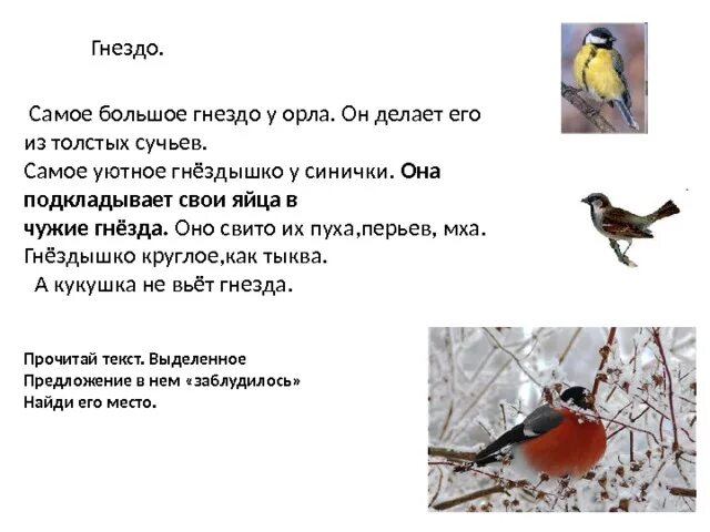 Настала пора гнездышко выстилать. Самое большое гнездо у орла оно сделано. Самое большое гнездо у орла. Текст самое большое гнездо у орла. Орел делает его из толстых сучьев.