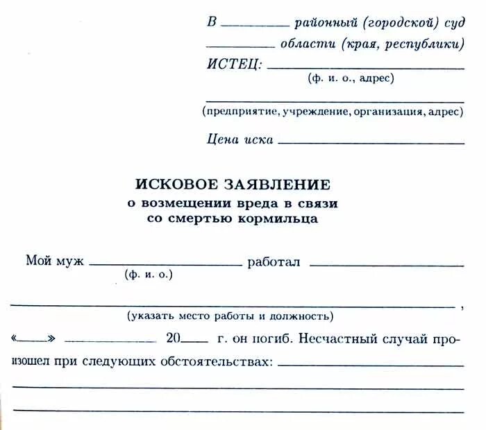 Заявление для суда. Исковое заявление о возмещение вреда по потере кормильца. Пример заявления в районный суд. Исковое заявление о возмещении вреда в связи со смертью кормильца. Обращение в районный суд образец.