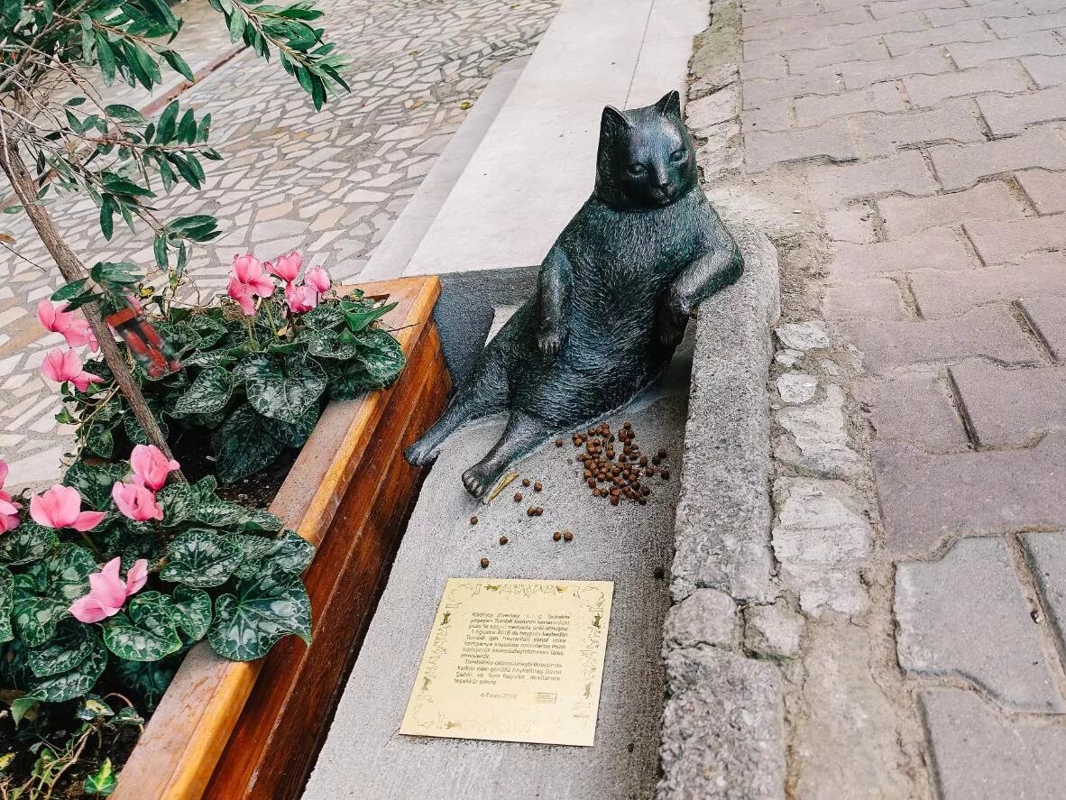 Памятники животным блокады ленинграда. Памятник блокадной кошке в Санкт-Петербурге. Памятник кошкам блокадного Ленинграда в Санкт-Петербурге. Памятник кошкам блокадного Ленинграда. Памятник кошкам блокадного Ленинграда Тюмень.