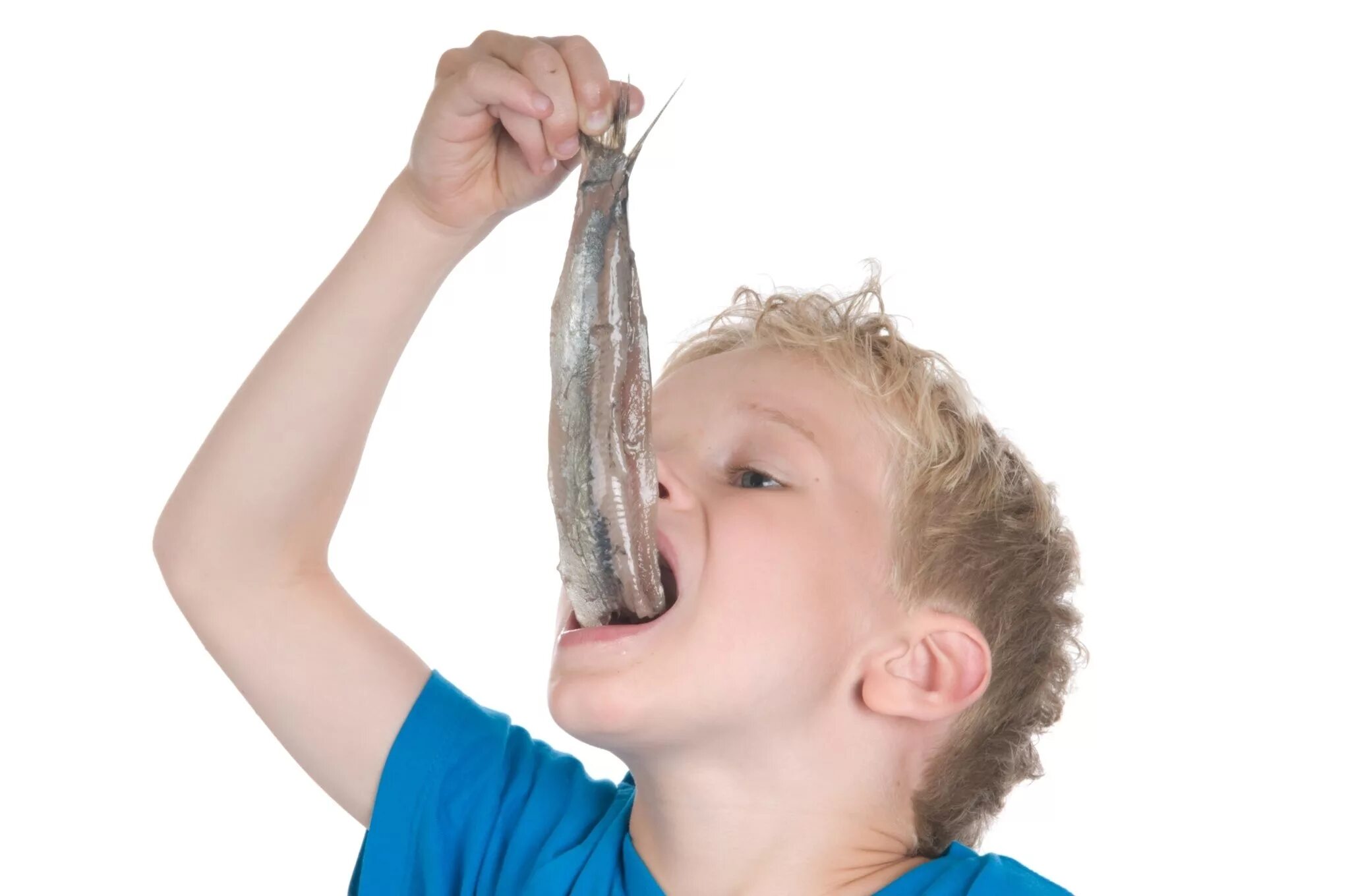 Мальчики берут рот. Маленькие селедки. Человек держит рыбу.