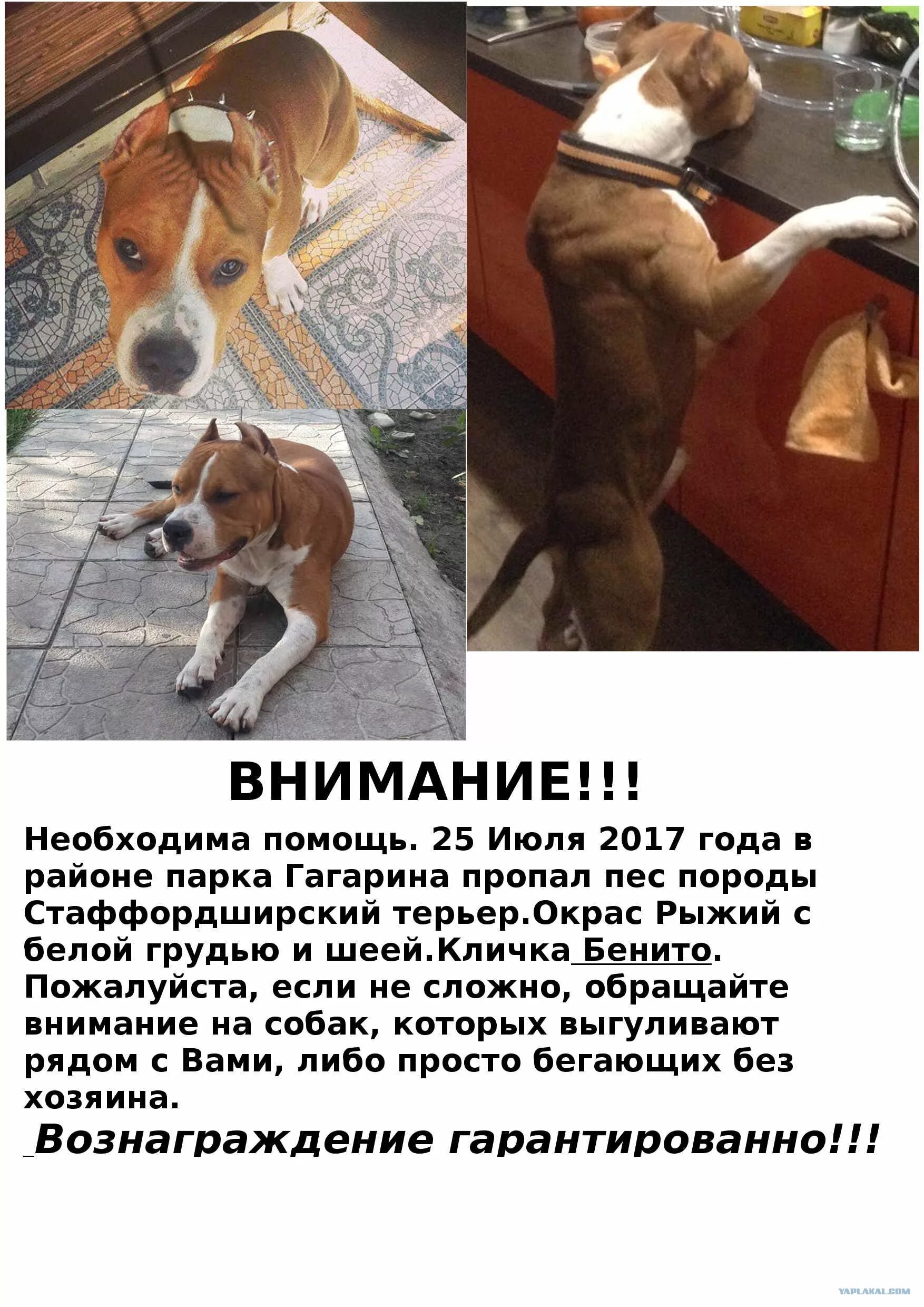 Помощь в июле