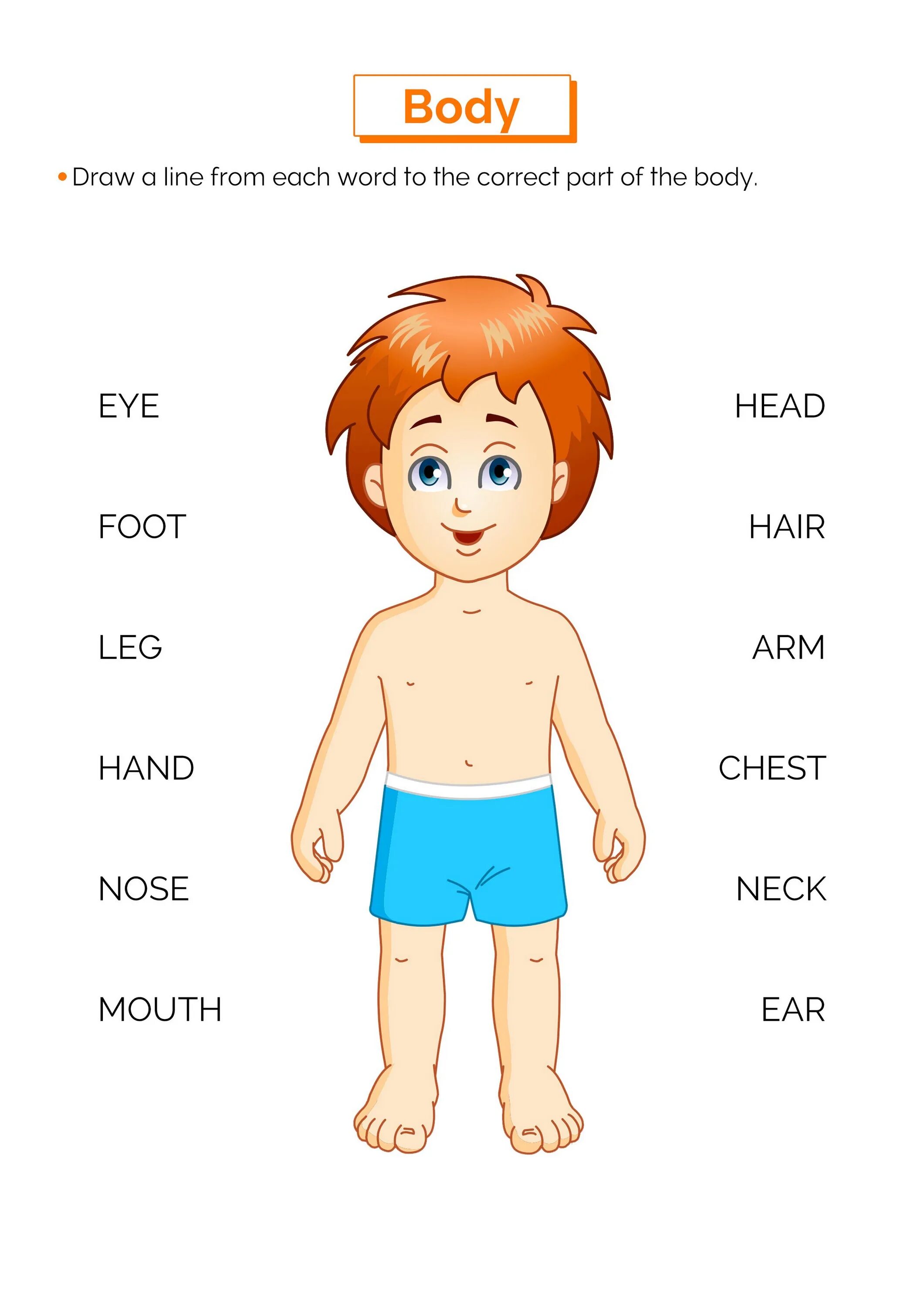 Части тела на английском языке для детей. Тело человека на английском для детей. Части тела на английском для дошкольников. Изображение ребенка для изучения частей тела. Слово мальчик на английском
