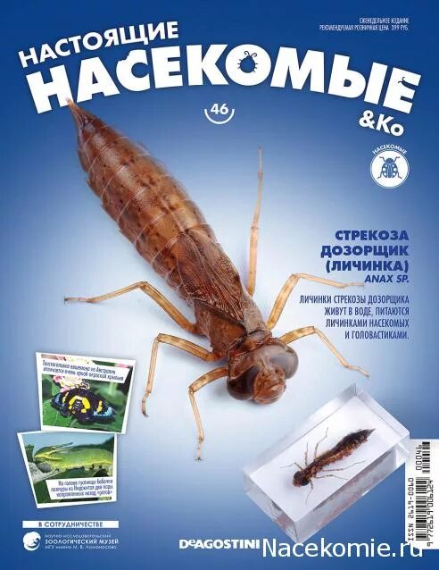 Настоящие насекомые и ко деагостини. Настоящие насекомые и ко деагостини. Настоящие насекомые и ко деагостини. Настоящие насекомые. Журналы деагостини насекомые.