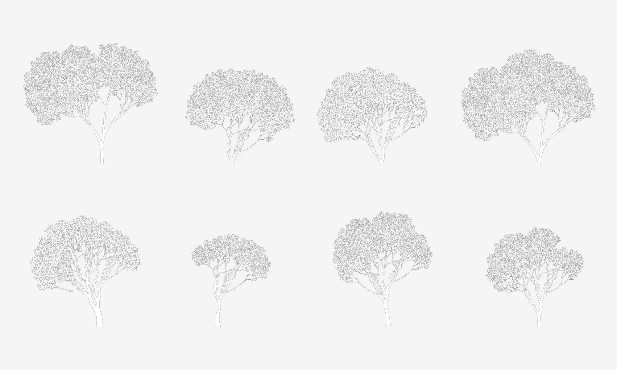 Дерево чертеж. Антураж лиственные деревья. Деревья для архитектурной подачи. Антураж деревья архитектурная Графика.