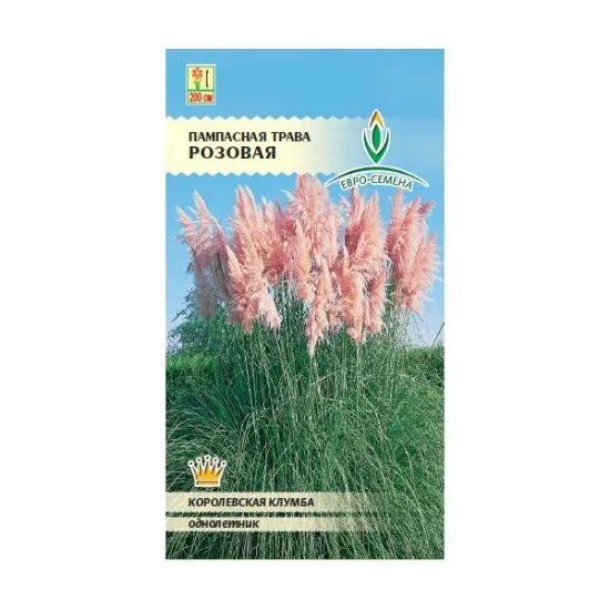 Пампасная трава купить семена. Семена пампасной травы розовое облако. Пампасная трава сорт розовое облако. Кортадерия серебристая 8шт. (Пампасная трава) (Гавриш) ц. Гавриш кортадерия серебристая (пампасная трава)* 0,01 г, шт.