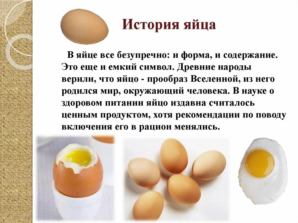Информация о куриных яйцах. Яйца для презентации. Презентация на тему блюда из яиц. Сообщение на тему блюда из яиц.