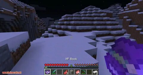 Fabric mods 1.16 5
