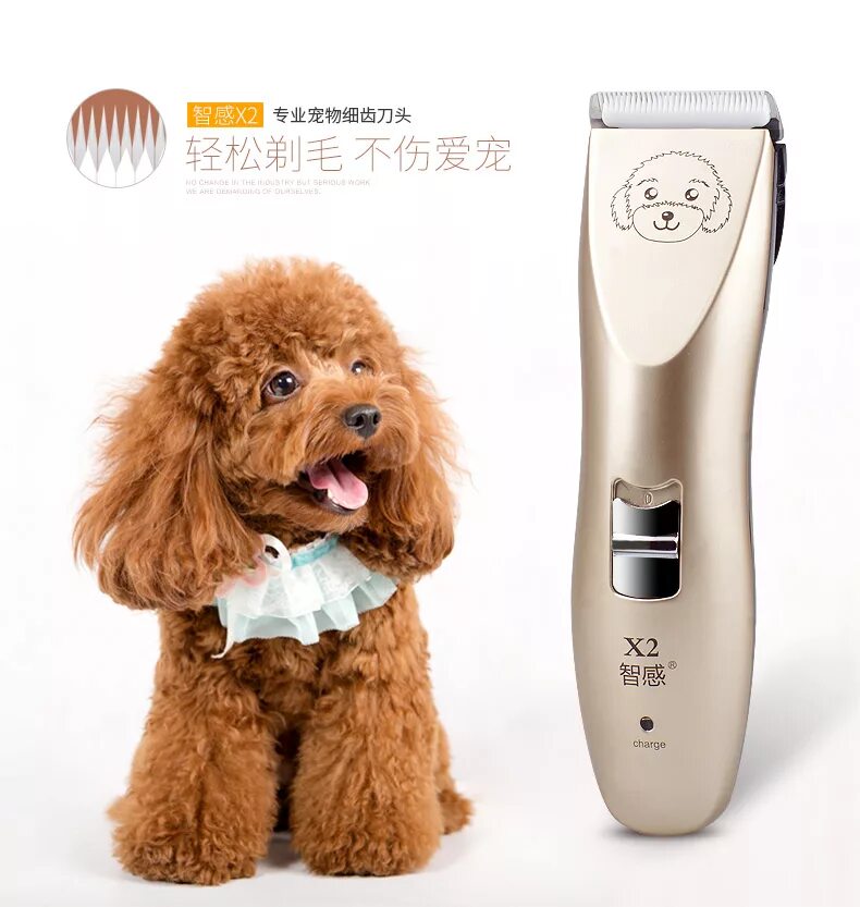 триммер для стрижки животных. стрижная машинка для кошек. триммер для стрижки животных pet grooming hair clipper. триммер для стрижки животных. триммер для стрижки животных.