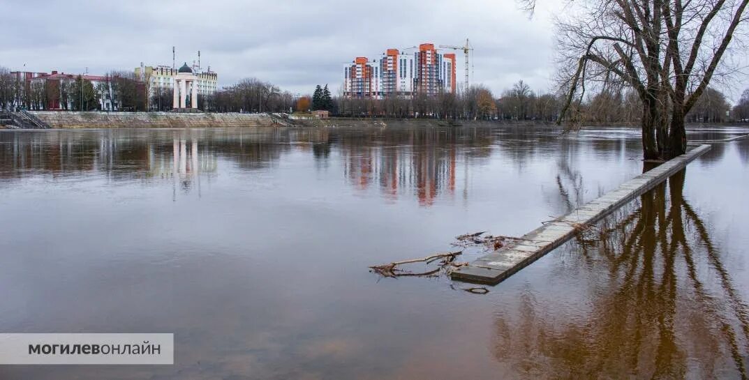 Река днепр могилев. Разлив днепра в могилеве 2025. могилев река днепр. разлив днепра в могилеве 2025 год. как разлился днепр 2025 в могилеве.
