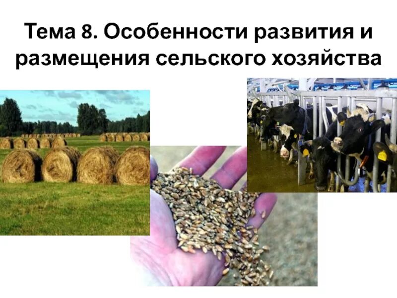 Этапы формирования хозяйства россии. Отрасли экономики 9 класс география. Развитие хозяйства 8 класс. Экономика россии география. Уровень развития хозяйства.