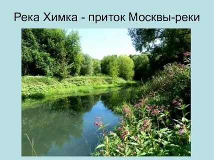 Приток москвы