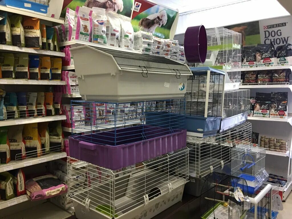товары для животных санкт петербург. зоомир спб. товары для животных в ассортименте. зоомагазин на коломяжском 10. зоомагазин с животными спб.