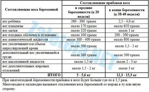 Сколько прибавляют во время беременности