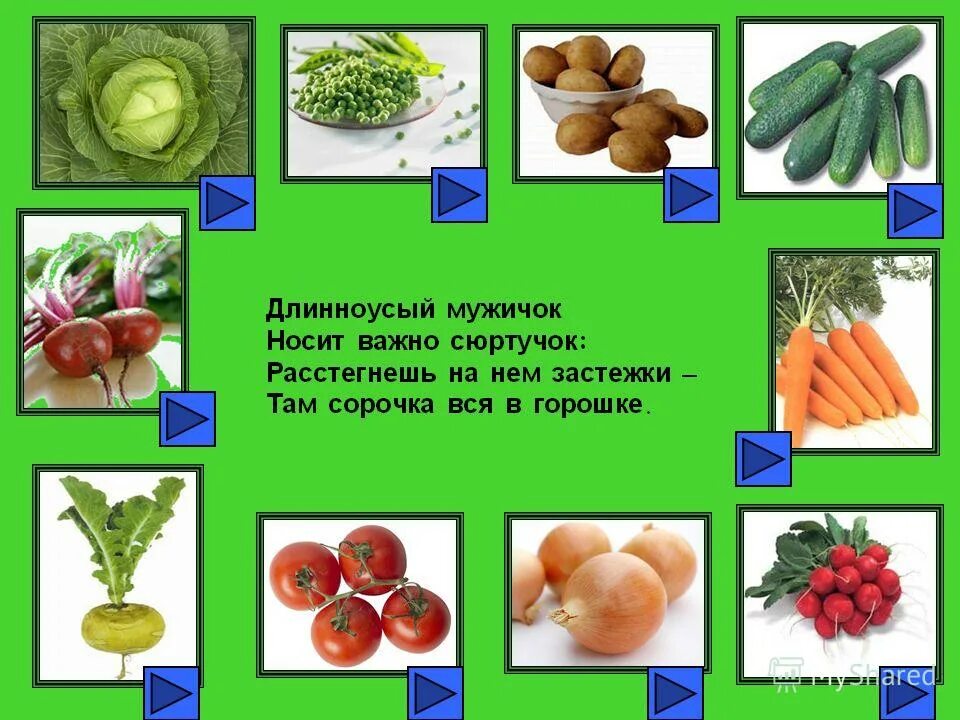 Какая пища кажется человеку безвкусной. Презентация на тему Азбука здоровья. Наши поросятки выросли на грядке к солнышку бочком хвостики крючком. Картинки сладкие поросятки выросли на грядке. Твёрдая пища это какая.