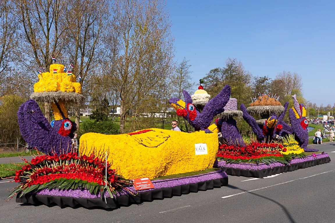 Парад цветов в голландии. Поделки парад. Рисунок парад цветов. Парад цветов в голландии. Парад цветов на конкурс.