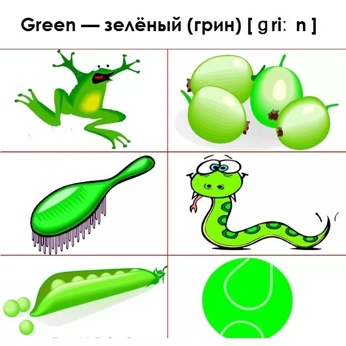 Зеленая ел какая какое. Карточки для изучения цвета для малышей. Предметы для изучения цветов. Карточки для изучения цветов для детей. Предметы зеленого цвета для детей.