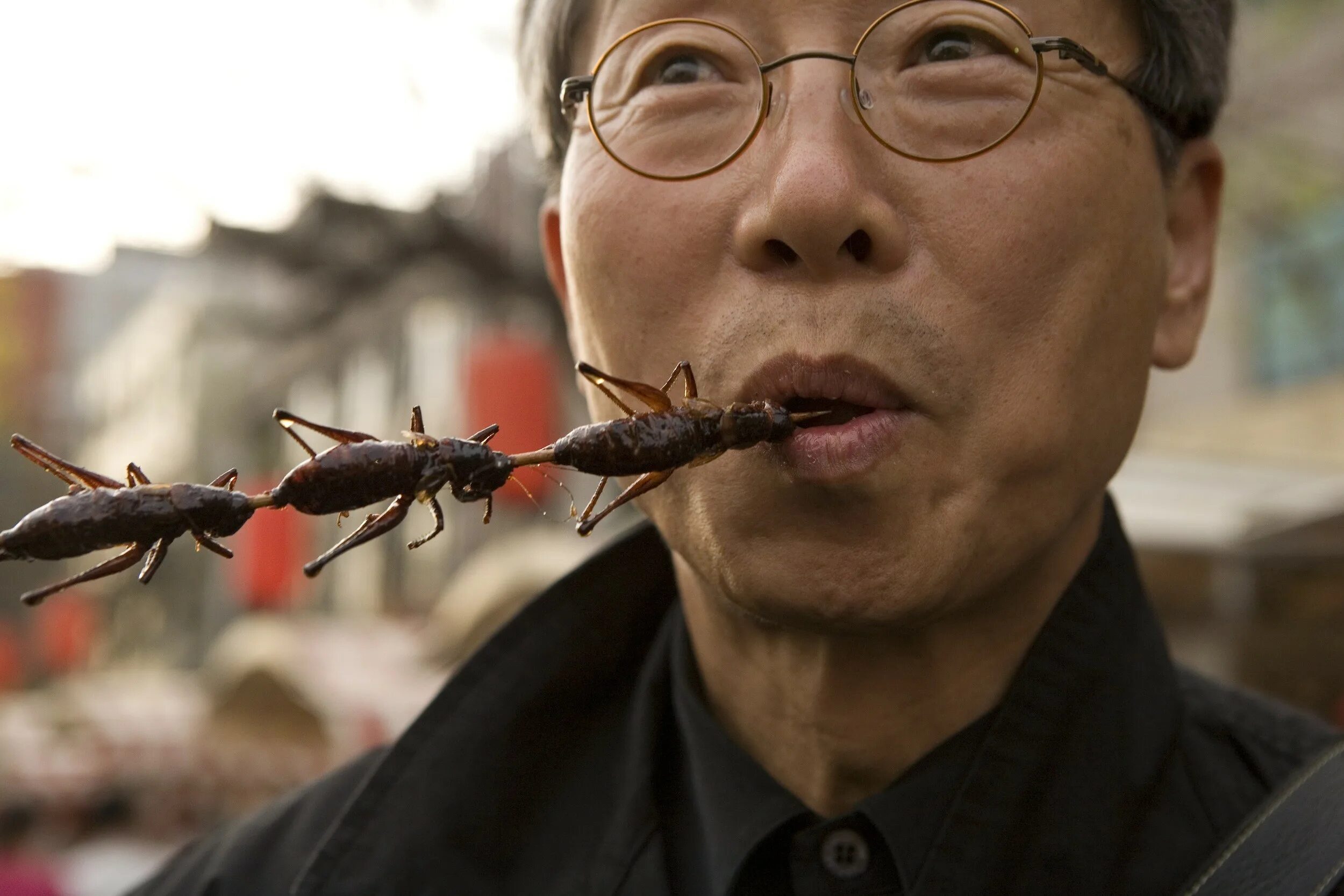 Где ели людей. Жареные насекомые. Жареные насекомые в Китае. Съедобные насекомые.