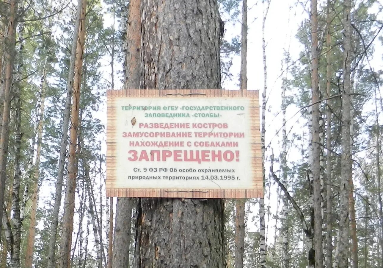 Заповедная зона парка. Природный заповедник «калужские засеки». Границы парка лосиный остров. Заповедная зона парка. Заповедная зона парка.