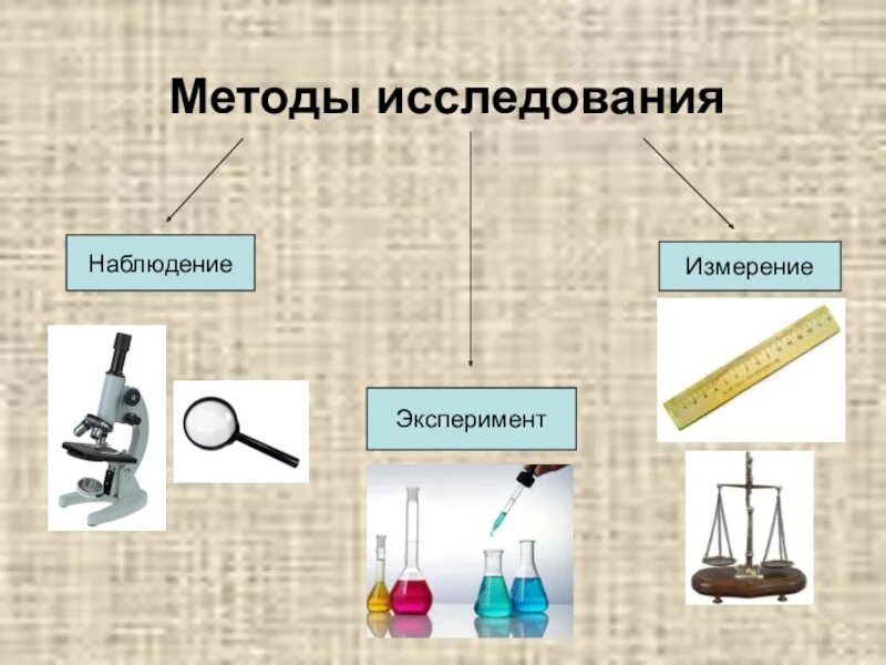 Наблюдения изменения опыты. Методы биологических исследований измерение. Методы исследования в биологии 5. Методы исследования в биологии 5 класс наблюдение. Наблюдение эксперимент измерение.