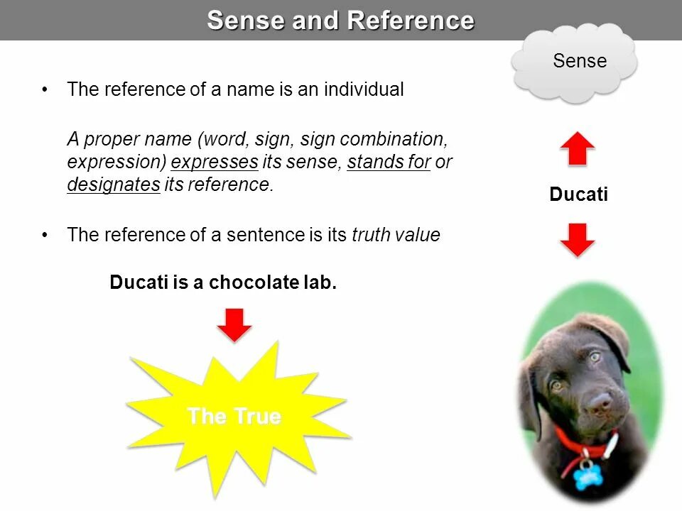 True sense. Reference in ppt. True sense. True sense. True sense.