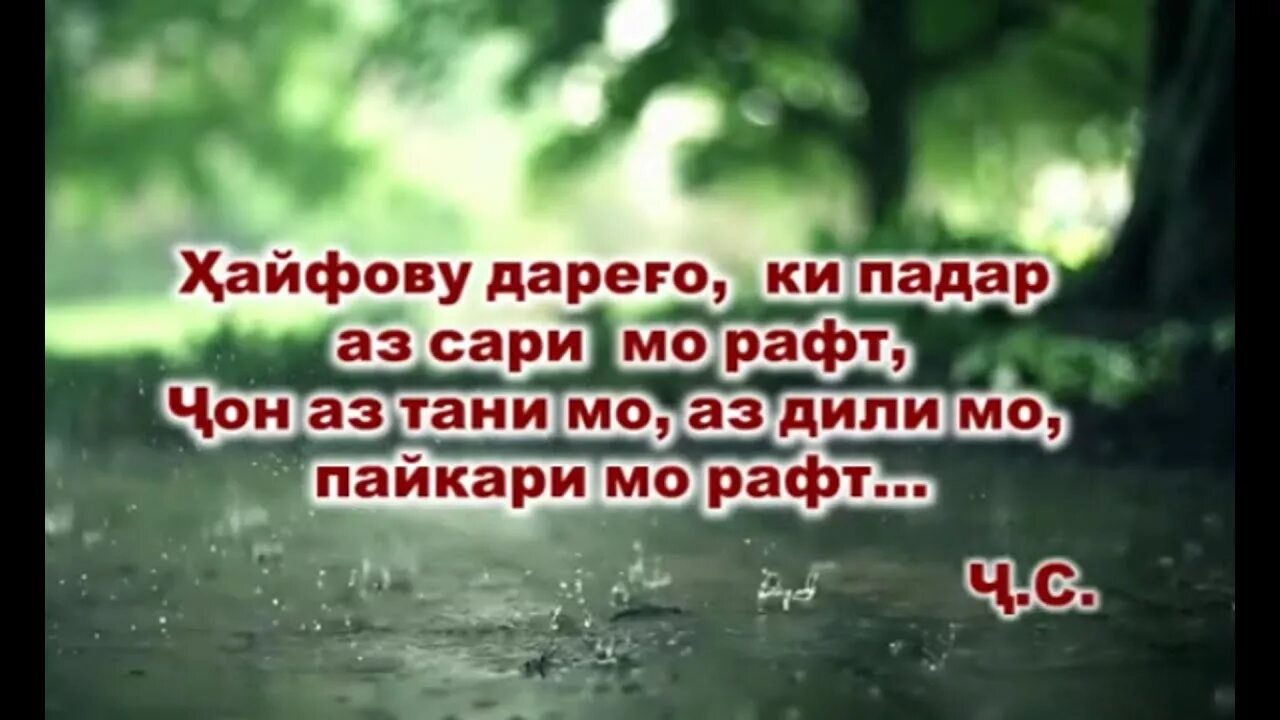 Падар шер. Картинки падарам. Шер падар. Падарам Чон падарам. Падарам шеър.