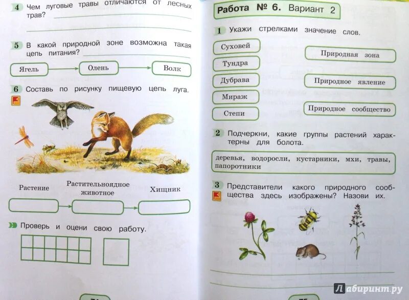 Задания по окружающему миру 4 класс. Задачи по окружающему миру 4 класс. Задание по окружающему для 3 классов.