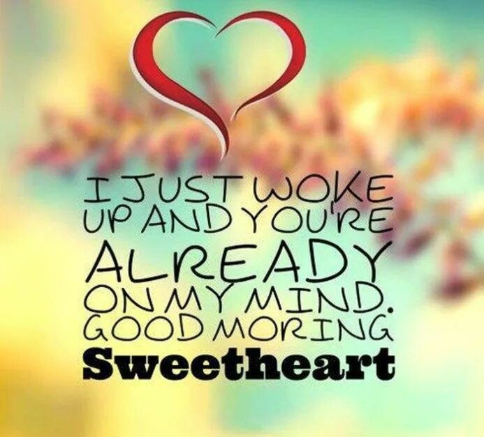 Цветок доброе утро комнатный. Good morning sweetheart. Good morning sweetheart картинки. Good morning my sweetheart картинки. Good morning my sweet man.