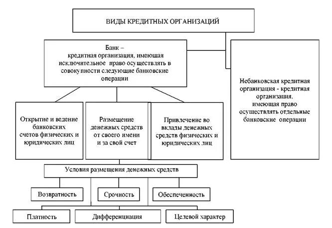 Виды кредитных организаций схема. Виды кредитных организаций в РФ. Типы банковских кредитных организаций. Виды кредитных организаций в РФ схема. Кредитное учреждение имеет право