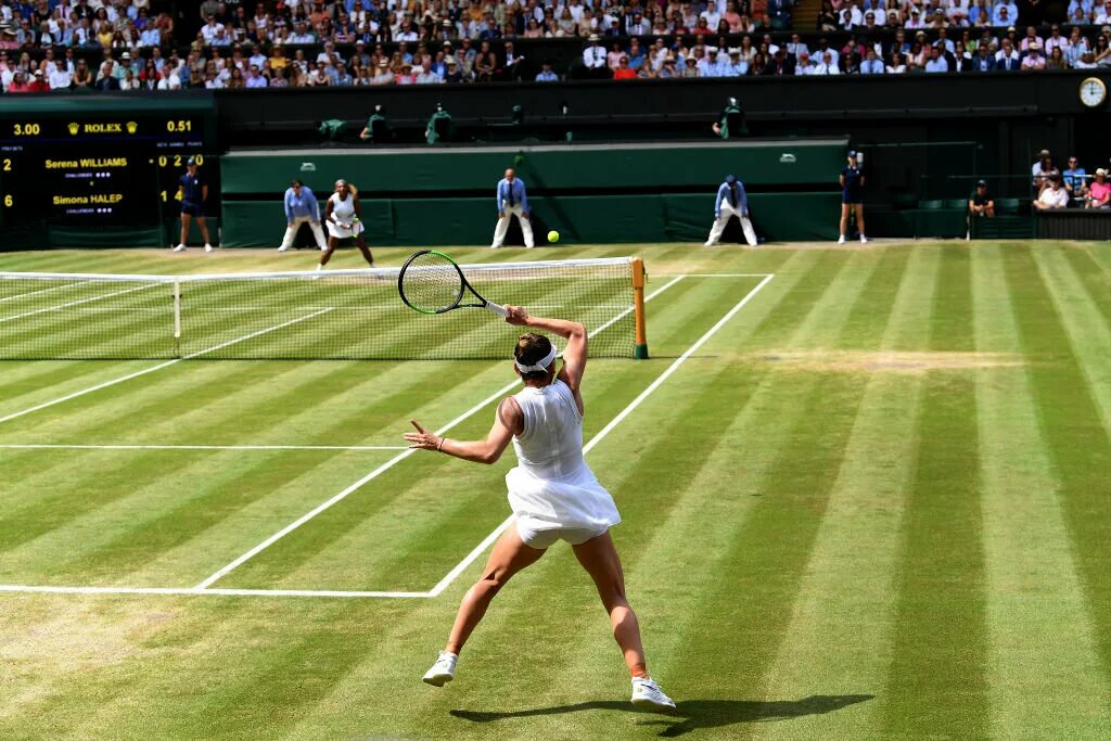 Теннисный корт Уимблдона. Tennis Court Уимблдон. Спорт теннис.