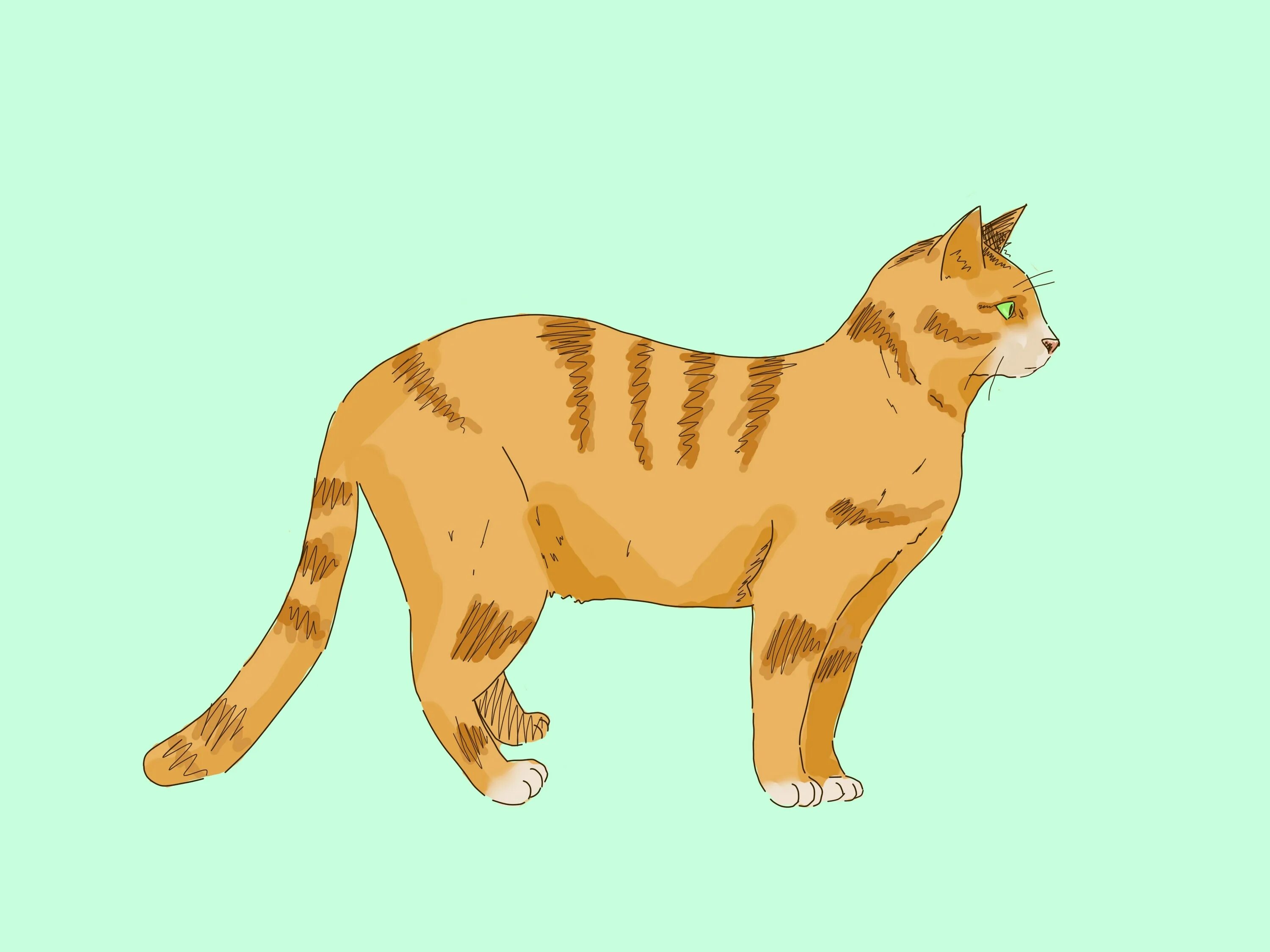 Стоящий кот рисунок. Коты вид сбоку. кот вид с боку. мультяшный кот. мультяшная кошка боком.