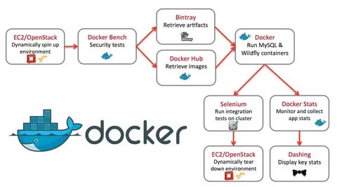 Docker run environment
