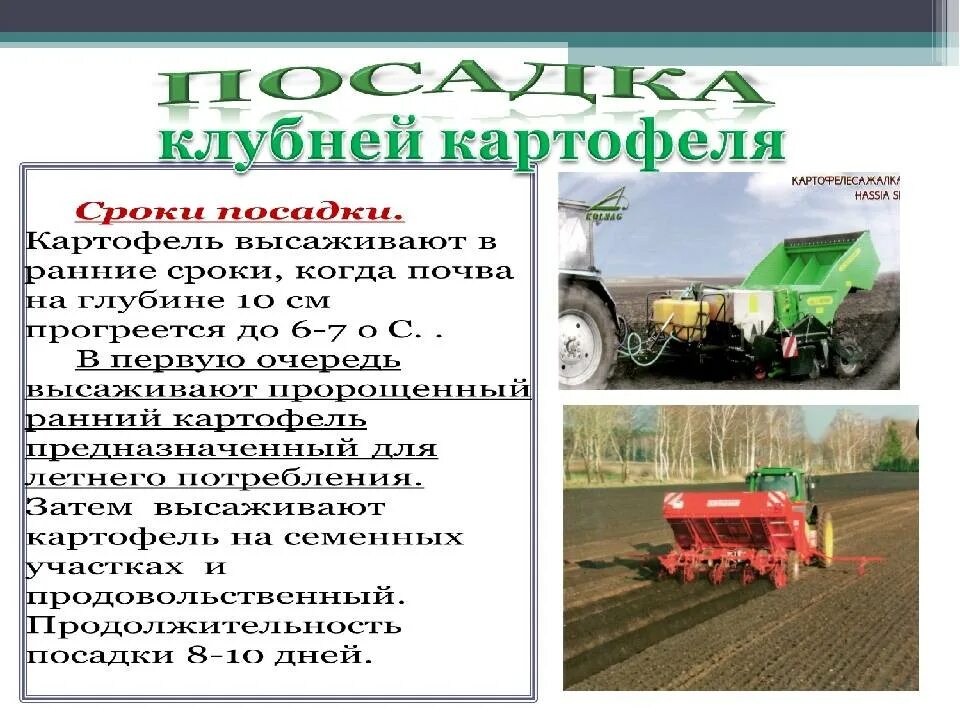 Технологии механизированных работ. Технология обработки картофеля. технология возделывания и уборки картофеля. технология уборки картофеля. комплекс машин для возделывания и уборки картофеля.