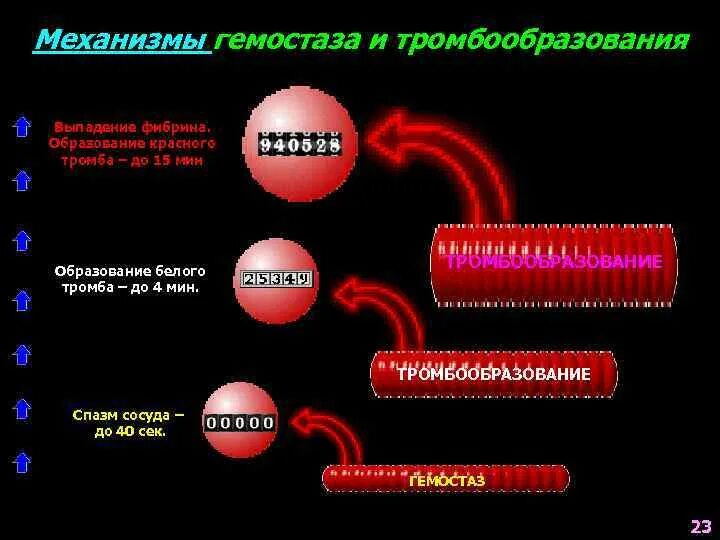 Патофизиология гемостаза