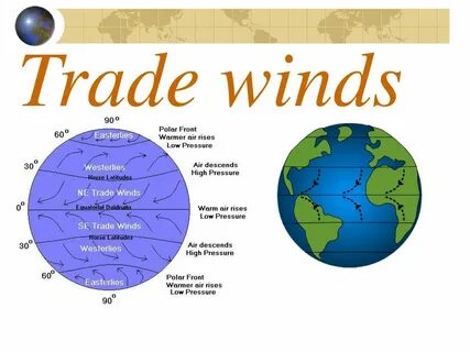 Winds say