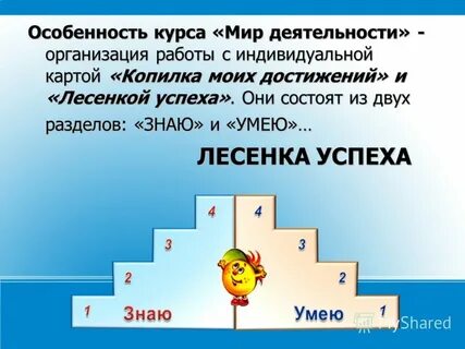 Курса мир деятельности