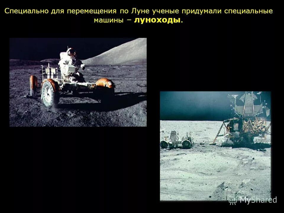 папанина. научно исследовательская станция северный полюс. полярная станция северный полюс 1. папанин иван дмитриевич северный ледовитый океан. какой оригинальный способ передвижения придумали ученые.