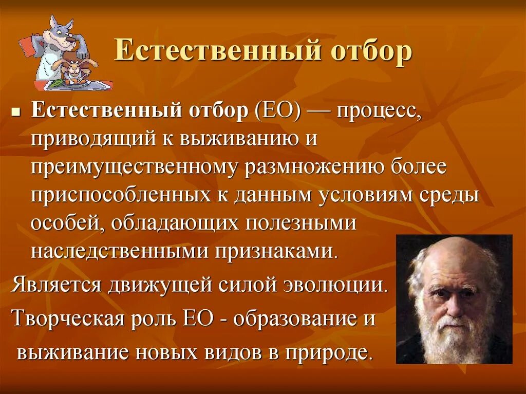 Отбор проводимый человеком. Естественный отбор. Естественный отбор это кратко. Естественный отбор это в биологии. Естественный ОТБОРОТБОР это.