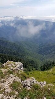 Горе мамзышха