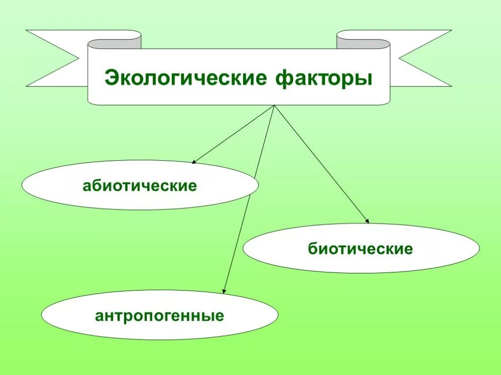 Биотические и абиотические факторы среды. Абиотические и антропогенные факторы. Абиотические и биотические экологические факторы. Экологические факторы абиотические биотические антропогенные. Группы экологических факторов 7 класс