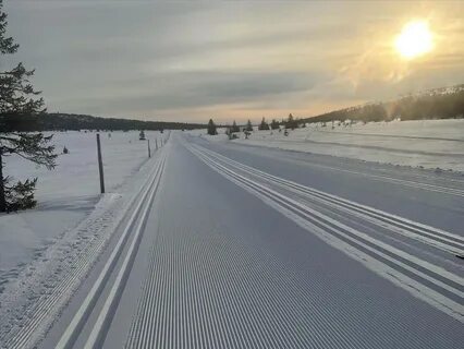 Подготовленная лыжная трасса
