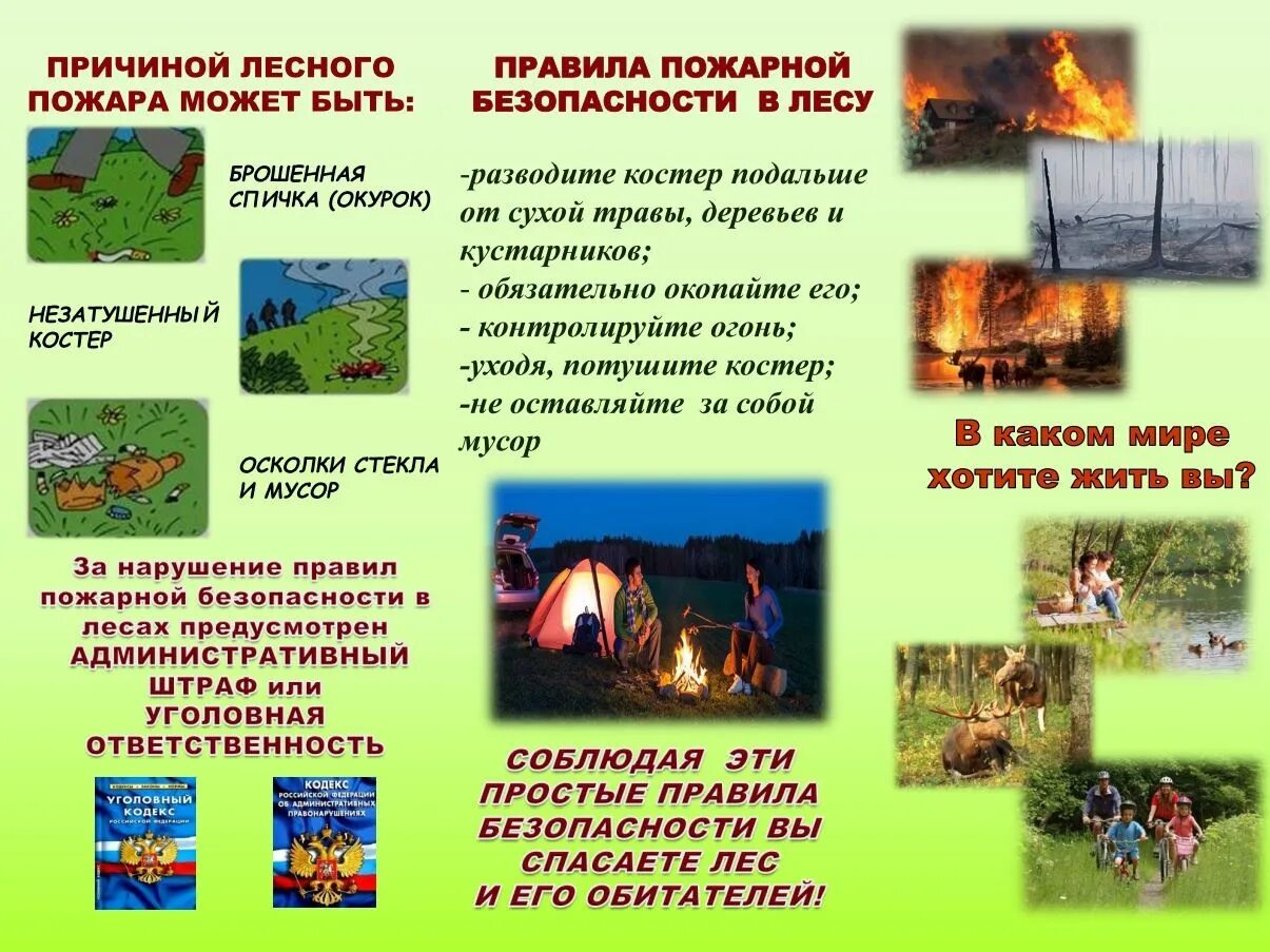 Почему пожар. Пожарная безопасность в лесу. причины лесных пожаров. причины пожара в лесу. причины пожаровв леасх.