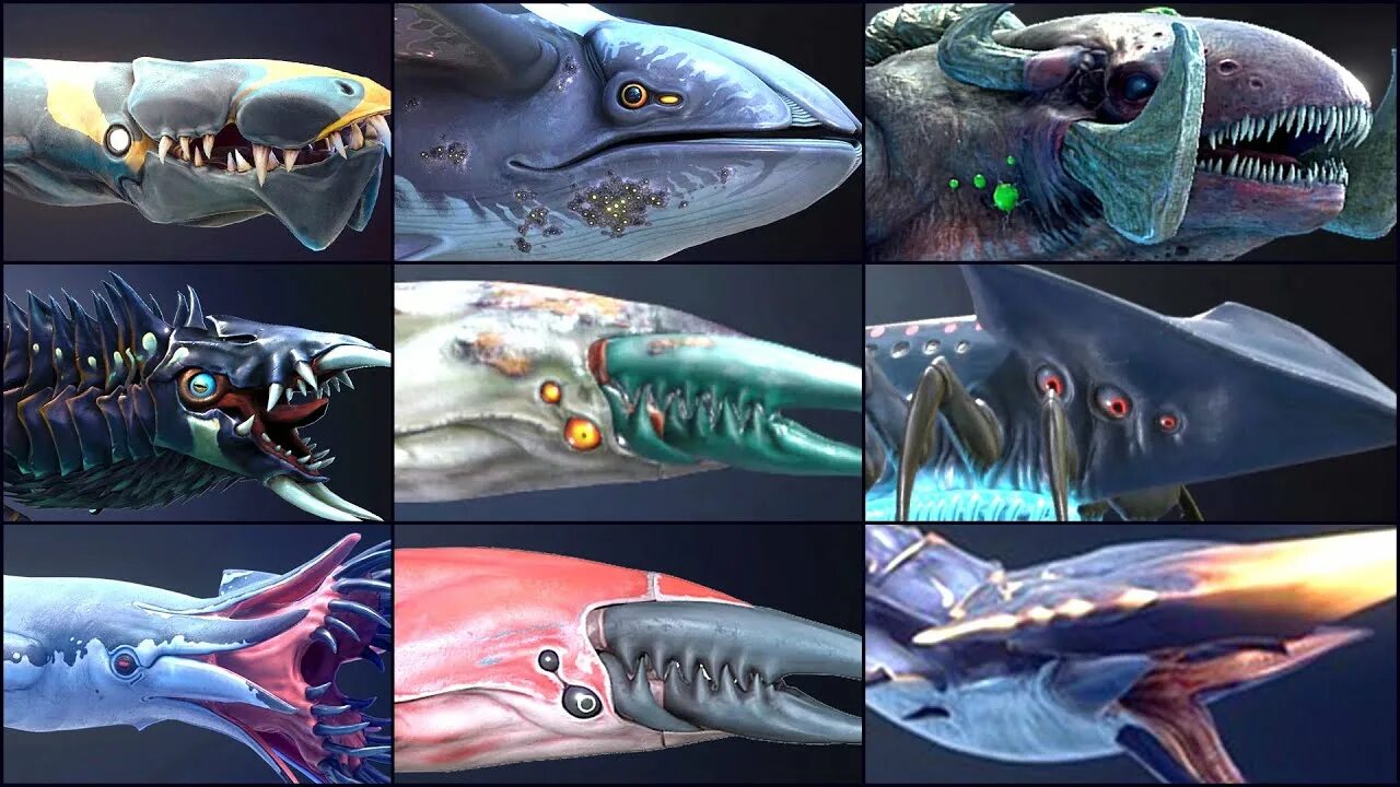 Как выглядит акула кальмар Pin on Paleoart